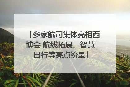 多家航司集体亮相西博会 航线拓展、智慧出行等亮点纷呈