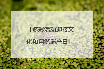 多彩活动迎接文化和自然遗产日