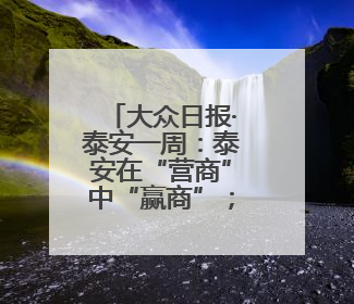 大众日报·泰安一周：泰安在“营商”中“赢商”；新泰就业、宁阳夏收工作上要闻