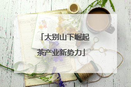 大别山下崛起茶产业新势力