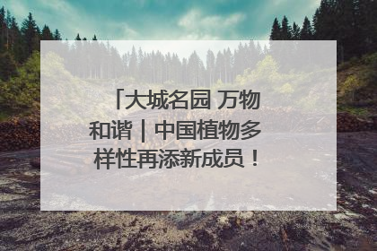 大城名园 万物和谐｜中国植物多样性再添新成员！它只在西藏墨脱