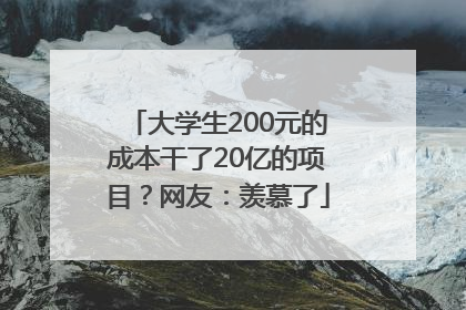 大学生200元的成本干了20亿的项目?网友:羡慕了