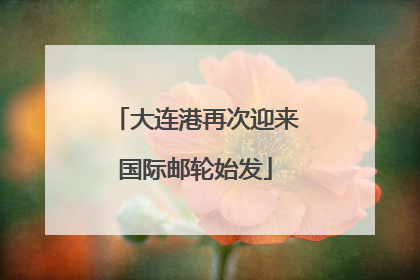 大连港再次迎来国际邮轮始发