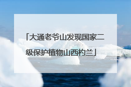 大通老爷山发现国家二级保护植物山西杓兰