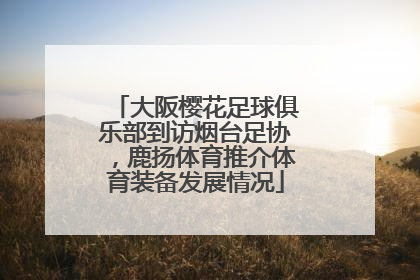 大阪樱花足球俱乐部到访烟台足协，鹿扬体育推介体育装备发展情况