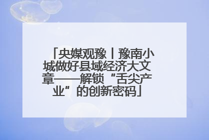 央媒观豫丨豫南小城做好县域经济大文章——解锁“舌尖产业”的创新密码