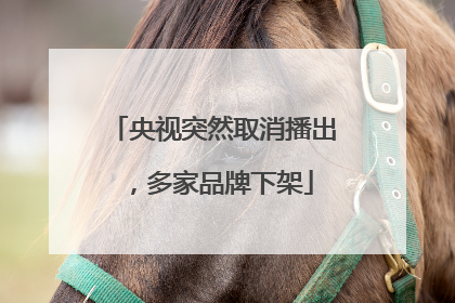 央视突然取消播出，多家品牌下架
