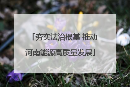 夯实法治根基 推动河南能源高质量发展