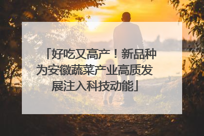 好吃又高产！新品种为安徽蔬菜产业高质发展注入科技动能