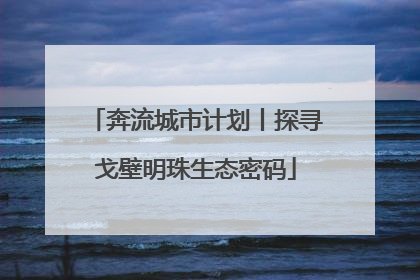奔流城市计划丨探寻戈壁明珠生态密码
