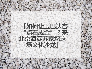 如何让玉巴达杏“点石成金”？来北京海淀苏家坨这场文化沙龙