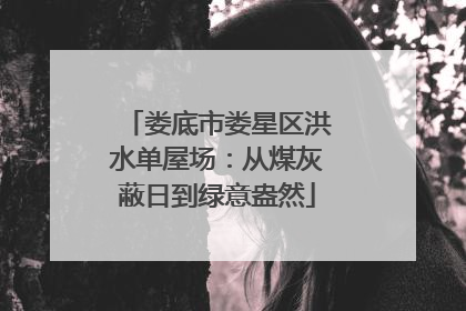 娄底市娄星区洪水单屋场：从煤灰蔽日到绿意盎然