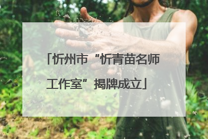 忻州市“忻青苗名师工作室”揭牌成立