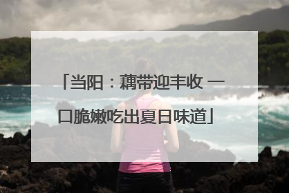 当阳：藕带迎丰收 一口脆嫩吃出夏日味道