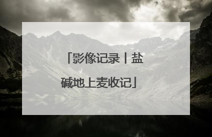 影像记录丨盐碱地上麦收记