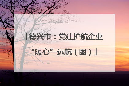 德兴市：党建护航企业“暖心”远航（图）