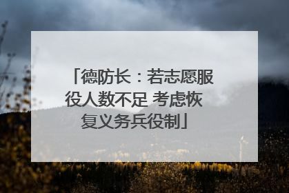 德防长：若志愿服役人数不足 考虑恢复义务兵役制