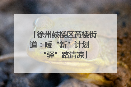 徐州鼓楼区黄楼街道：暖“新”计划 “驿”路清凉