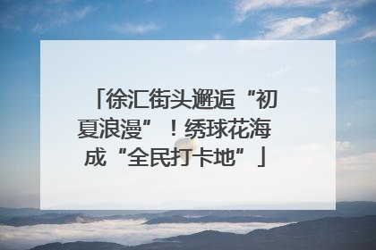 徐汇街头邂逅“初夏浪漫”！绣球花海成“全民打卡地”