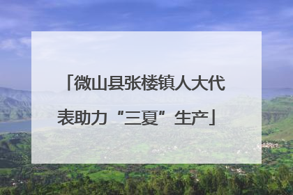 微山县张楼镇人大代表助力“三夏”生产