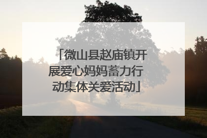 微山县赵庙镇开展爱心妈妈蓄力行动集体关爱活动