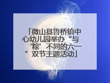 微山县鲁桥镇中心幼儿园举办“与‘粽’不同的六一”双节主题活动
