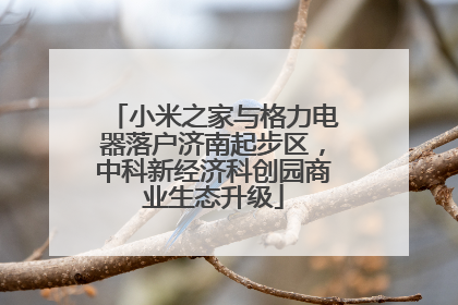 小米之家与格力电器落户济南起步区，中科新经济科创园商业生态升级