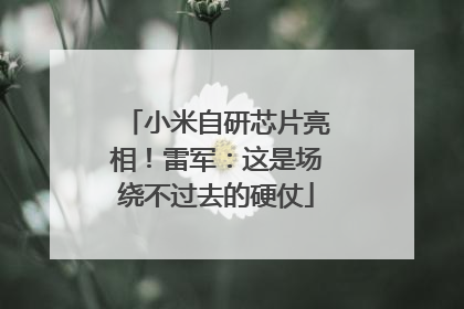小米自研芯片亮相！雷军：这是场绕不过去的硬仗