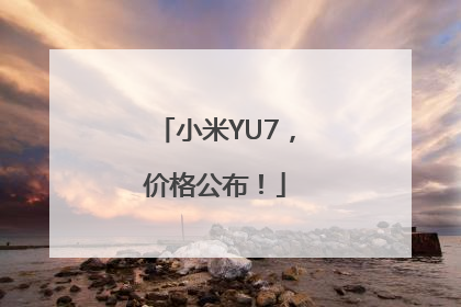 小米YU7，价格公布！