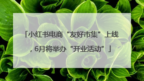 小红书电商“友好市集”上线，6月将举办“开业活动”