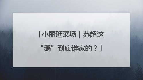小丽逛菜场｜苏超这“鹅”到底谁家的？