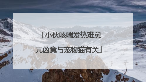 小伙咳喘发热难愈 元凶竟与宠物猫有关