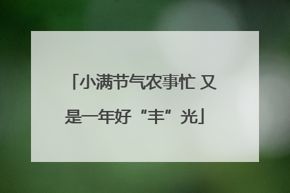 小满节气农事忙 又是一年好“丰”光