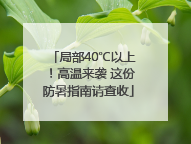 局部40℃以上！高温来袭 这份防暑指南请查收