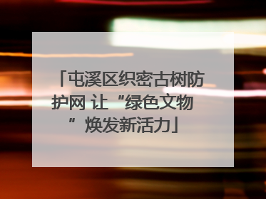 屯溪区织密古树防护网 让“绿色文物”焕发新活力