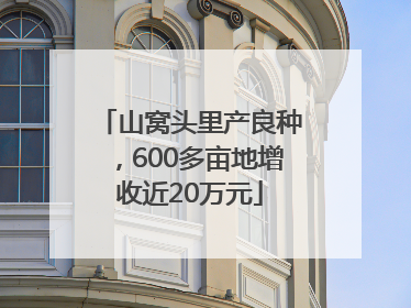 山窝头里产良种，600多亩地增收近20万元