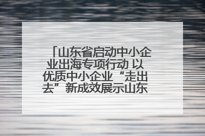 山东省启动中小企业出海专项行动 以优质中小企业“走出去”新成效展示山东产业发展新形象