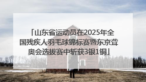 山东省运动员在2025年全国残疾人羽毛球锦标赛暨东京聋奥会选拔赛中斩获3银1铜