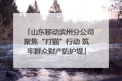山东移动滨州分公司聚焦“打猫”行动 筑牢群众财产防护堤