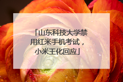 山东科技大学禁用红米手机考试，小米王化回应