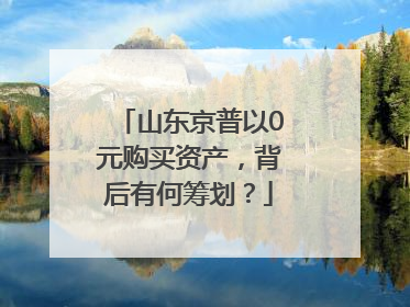 山东京普以0元购买资产，背后有何筹划？