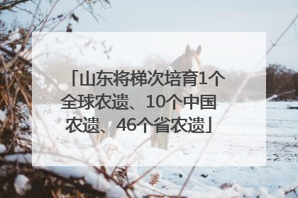 山东将梯次培育1个全球农遗、10个中国农遗、46个省农遗