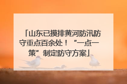 山东已摸排黄河防汛防守重点百余处！“一点一策”制定防守方案