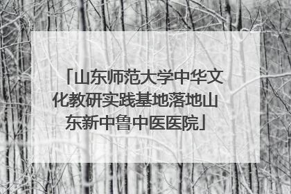 山东师范大学中华文化教研实践基地落地山东新中鲁中医医院