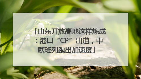 山东开放高地这样炼成：港口“CP”出道，中欧班列跑出加速度
