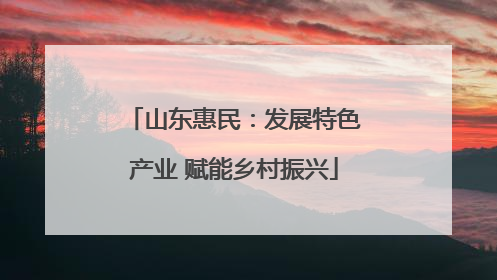 山东惠民：发展特色产业 赋能乡村振兴