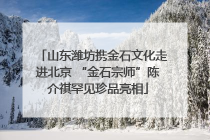 山东潍坊携金石文化走进北京 “金石宗师”陈介祺罕见珍品亮相