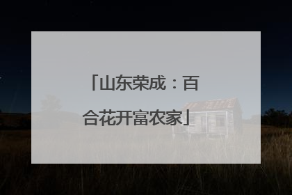 山东荣成：百合花开富农家