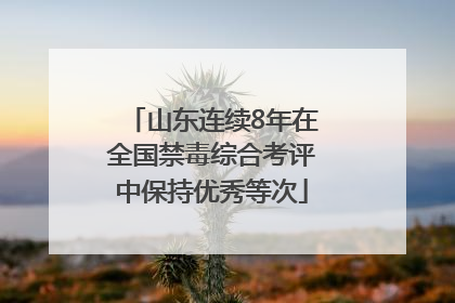 山东连续8年在全国禁毒综合考评中保持优秀等次