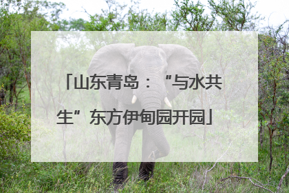 山东青岛：“与水共生”东方伊甸园开园